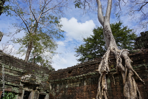 Cambodia