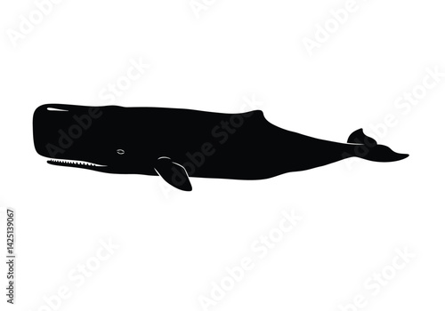 Sperm whale silhouette. This image shows a black silhouette of a sperm whale, also known as Physeter macrocephalus, in a side profile view with distinct features. Vector clipart illustration design.