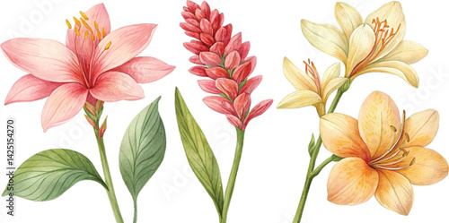 Watercolor Tropical Flowers