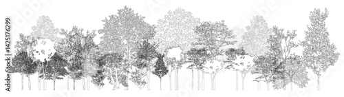 Architectural Drawings, Minimal style cad tree line drawing, Side view, set of section wetland forest outline for landscape design drawing. Vector illustration in separate element