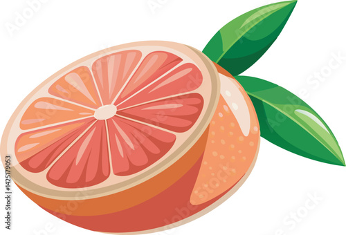 A vibrant and detailed vector illustration of a beautiful grapefruit, showcasing rich colors, juicy texture, and artistic citrus fruit elegance.