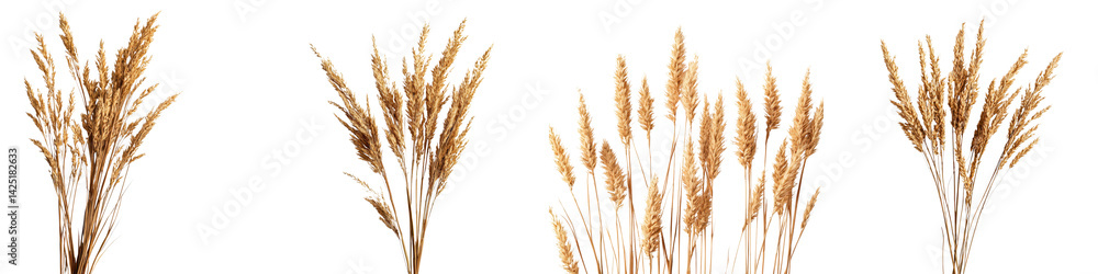 Wheat stalks in a field. long_title:A close-up view of golden wheat stalks standing tall in a lush, rural field, symbolizing a bountiful harvest Wheat stalks in a field. long_title:A close-up view of golden wheat stalks standing tall in a lush, rural field, symbolizing a bountiful harvest