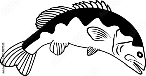 Vector of sea fish
