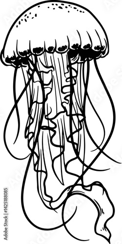 sketch of jellyfish. Medusa, jellyfish, side view, icon, one, simple black and white sketch on a white background, picture, image for printing on a T-shirt, without people