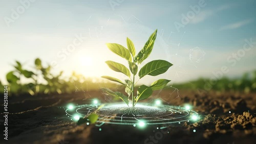 Circular economy concept for future business growth tree and environmental sustainability and reduce pollution for future business and environmental growth.4k corporate video