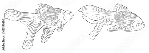Goldfish Vector Line Drawing