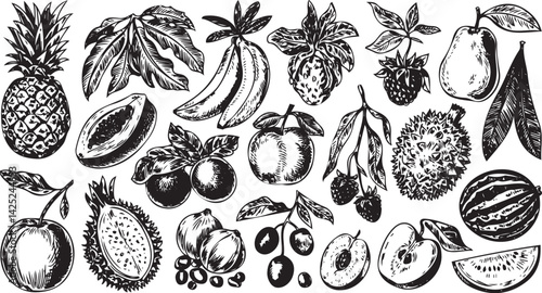 Hand drawn black and white botanical composition of fruits and vegetables including pineapple papaya banana apple and pear in a vintage engraving style