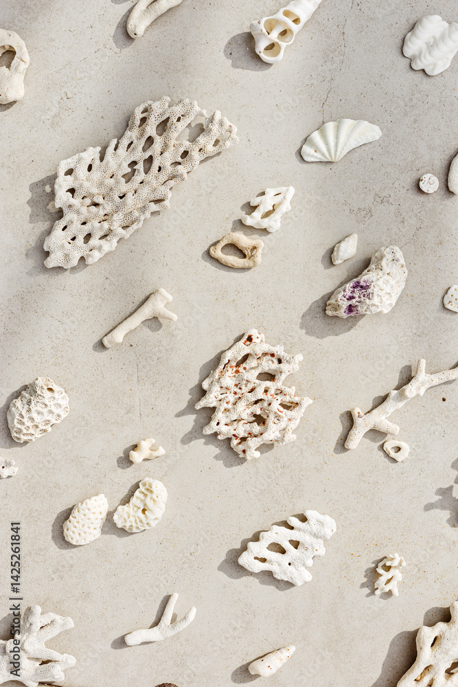 Seashells and corals as minimal pattern. Vertical layout of found shell and coral on ocean shore. Summer relahation concept, beach vibes. Top view nature background, neutral white beige tones gradient