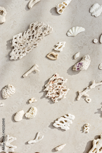 Obraz na płótnie Seashells and corals as minimal pattern. Vertical layout of found shell and coral on ocean shore. Summer relahation concept, beach vibes. Top view nature background, neutral white beige tones gradient w salonie