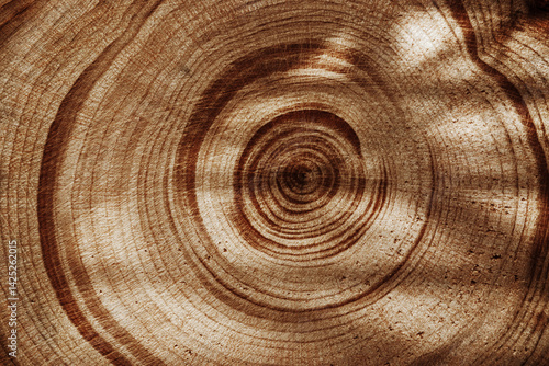 Obraz na płótnie Natural wooden background, close up wood texture annual rings form. Top view of cross section of juniper log, graphic nature organic pattern. Sawed timber close up with tree ring pattern w salonie