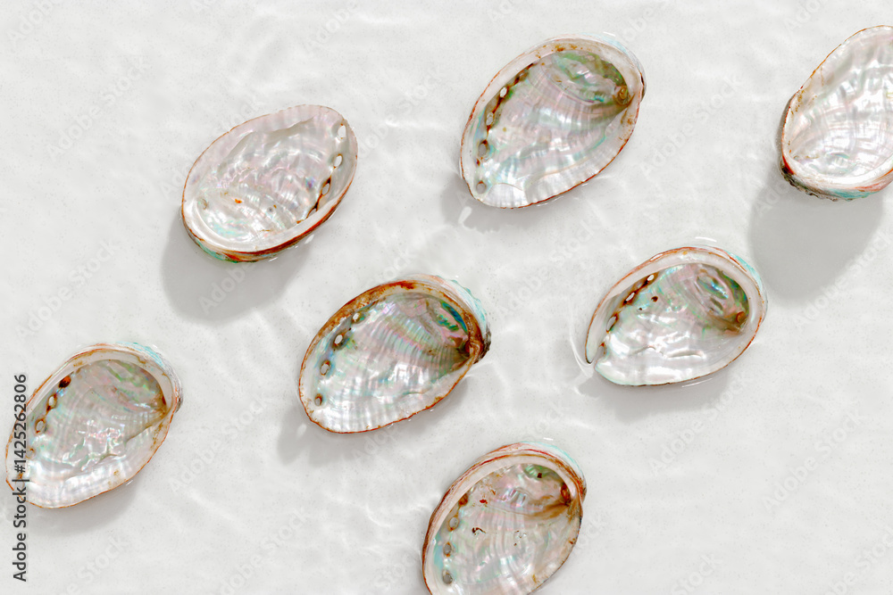 Set of abalone seashells floating on clear white water with sun glare and waves. Shells of natural iridescent and rough textures. Minimal style top view pattern sea ocean life background, copy space
