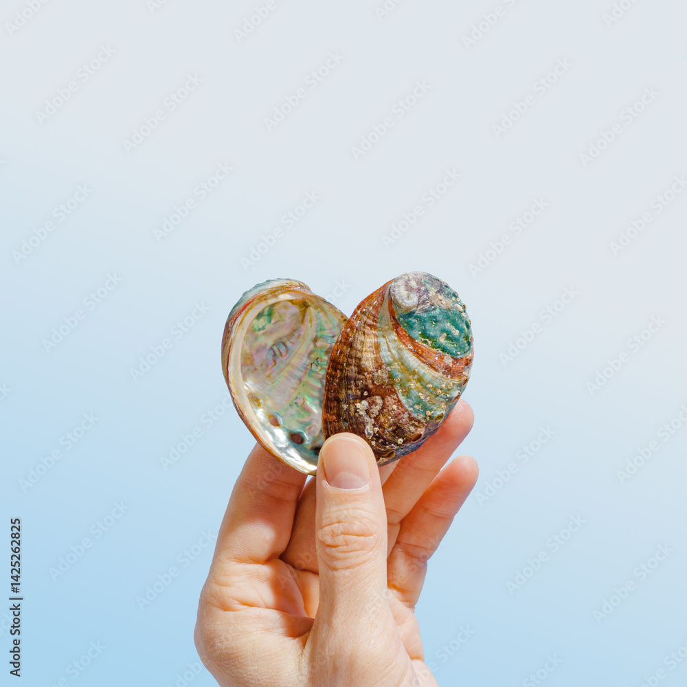 Hand holding vivid abalone shell with iridescent colors on gradient blue background, peaceful style life scene. Shiny seashells heart shaped, love concept for life, relaxation, natural beauty