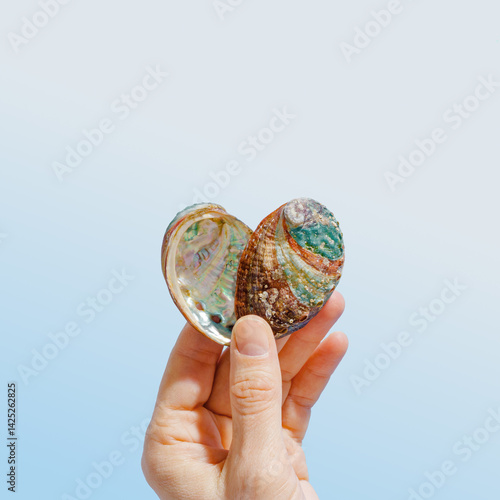 Obraz na płótnie Hand holding vivid abalone shell with iridescent colors on gradient blue background, peaceful style life scene. Shiny seashells heart shaped, love concept for life, relaxation, natural beauty w salonie