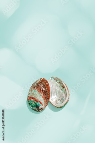 Obraz na płótnie Colored closeup shells on vivid blue background with sun glare. Beauty nature textured Seashells, marine life, nautical style poster, Minimal summer aesthetic, beach lifestyle, pastel color w salonie