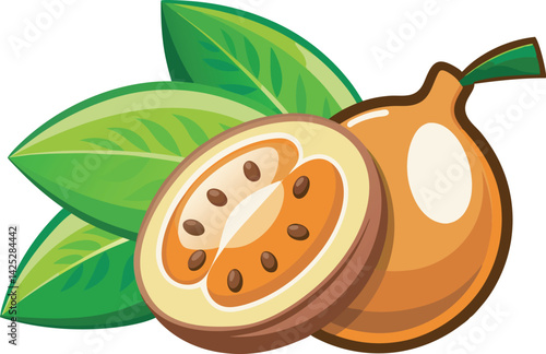 A vibrant vector art illustration of the beautiful mamey sapote fruit, showcasing its rich colors and tropical appeal in detail.