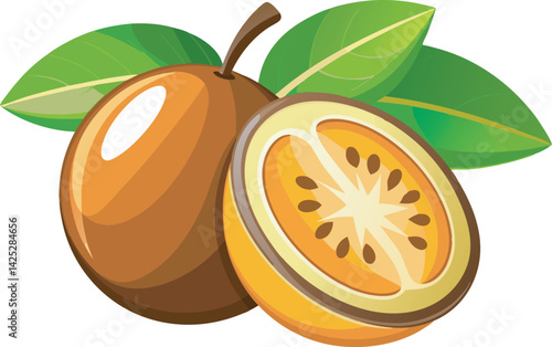 A vibrant vector art illustration of the beautiful mamey sapote fruit, showcasing its rich colors and tropical appeal in detail.