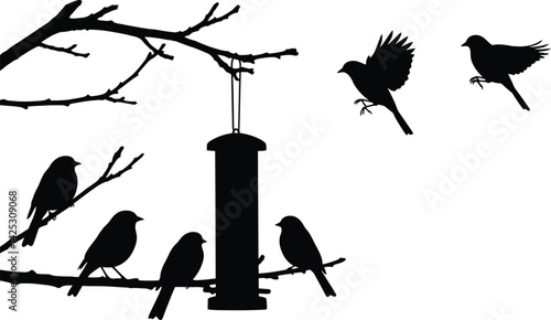Photography Black silhouettes of birds, a wild nature illustration
