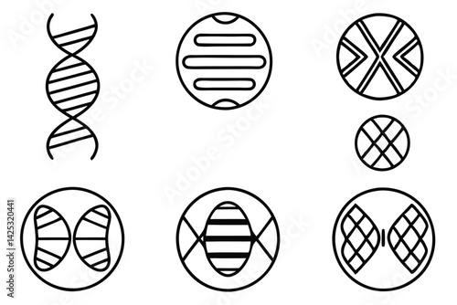 genetic inheritance line art stylized chromosome biology concept
