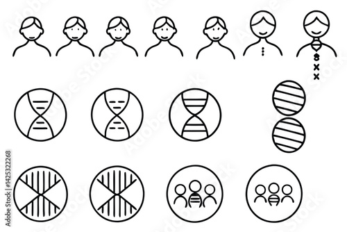 genotype vs phenot line art classroom biology graphic