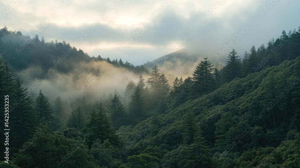 Misty Mountain Forest at Dawn: A Serene Landscape Misty Mountain Forest at Dawn: A Serene Landscape