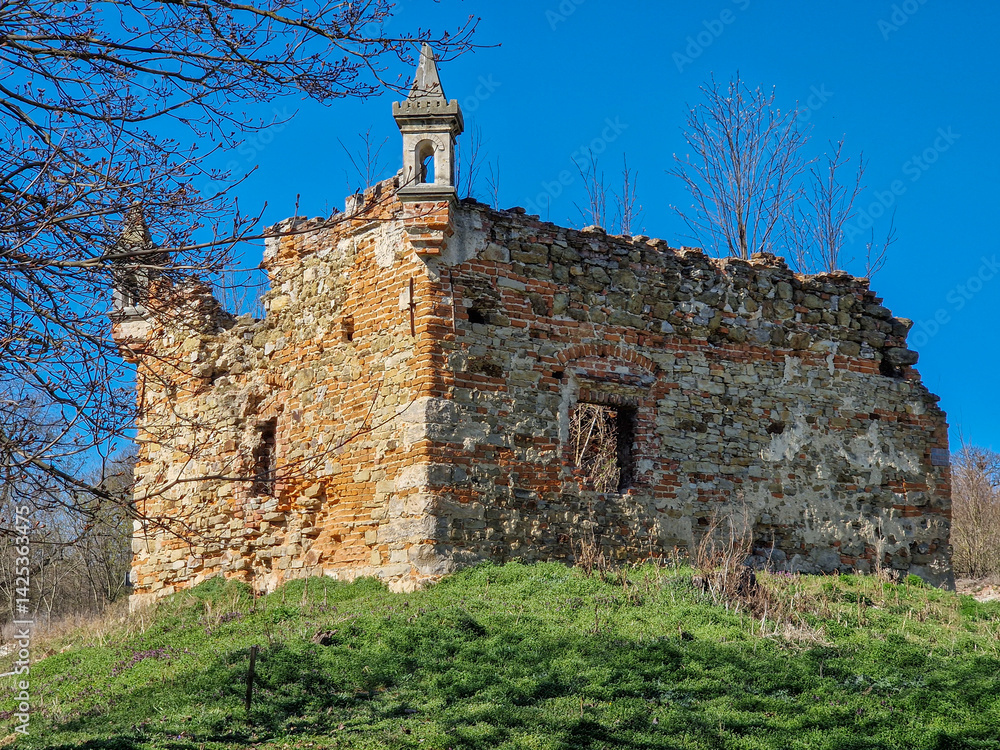 Ruins of the palace in Wlostów, Poland.