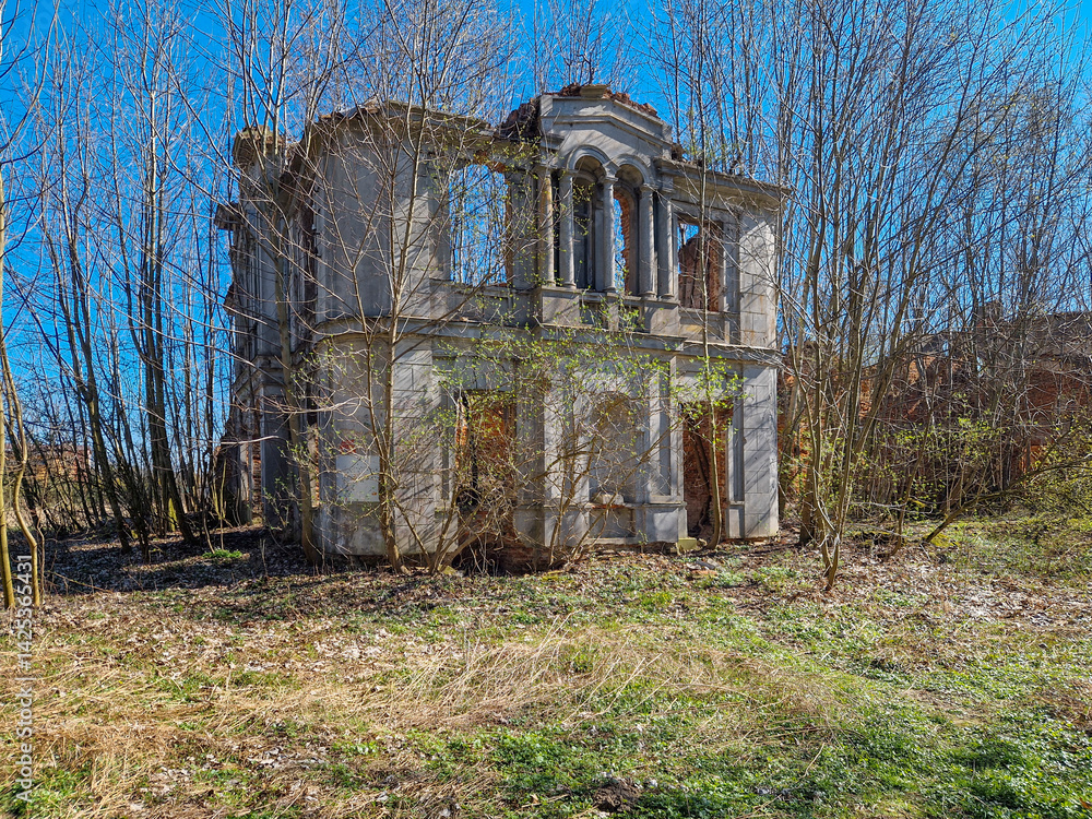 Ruins of the palace in Wlostów, Poland.