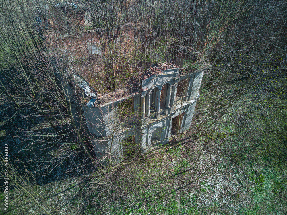 Ruins of the palace in Wlostów, Poland.
