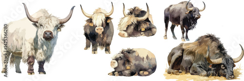 domestic yak watercolor clipart