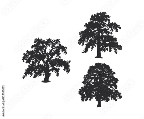 Cottonwood Tree Silhouette Collection EPS Template