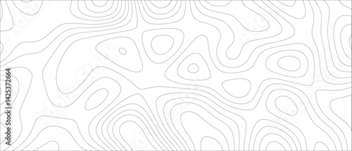 Abstract Topographic map background geographic line. Minimalist, monochrome topographic contour map design with thin, organic, flowing elevation lines. Data visualization, and geographic design