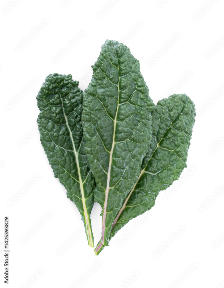 Naklejka premium Lacinato Dinosaur Kale or Tuscan kale. Queen of Green leafy vegetables superfood isolated on white background.