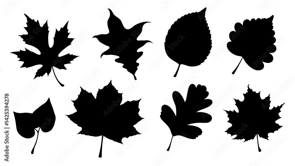 Obraz premium set of various types of leaves silhouette vector on white background