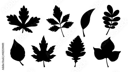 set of various types of leaves silhouette vector on white background