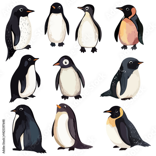 penguin, animal, vector, transparent background, various