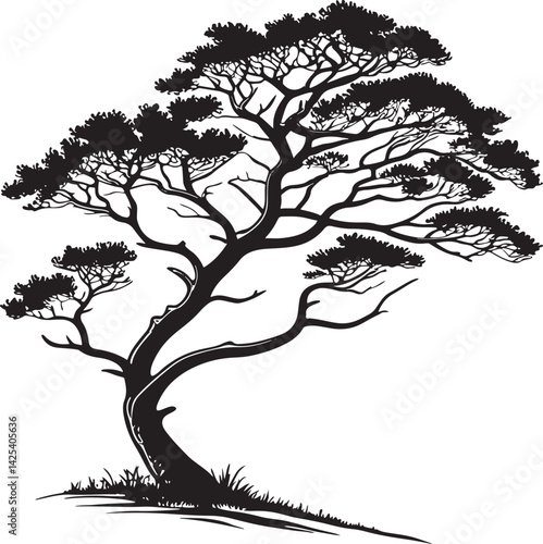 Cypress tree silhouette vector printable design