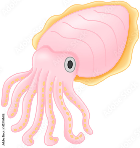 갑오징어 (cuttlefish)