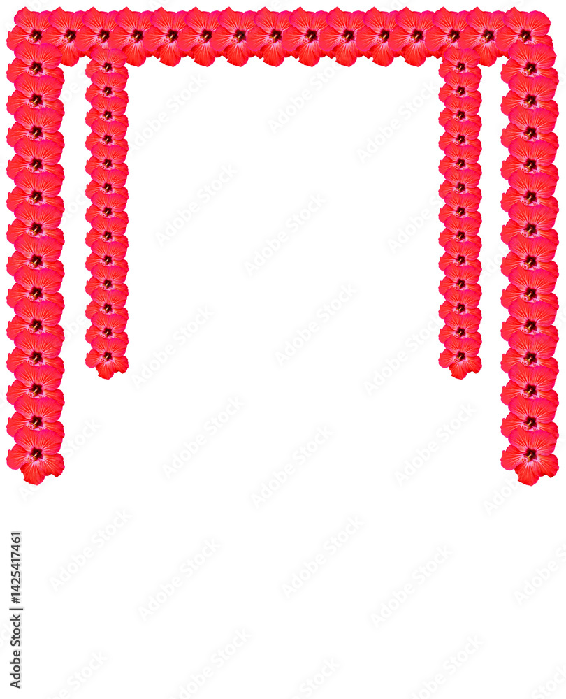 Fototapeta premium Isolated Red Hibiscus Flower on Transparent Background Hibiscus, jaba flower Red Hibiscus Flower PNG, Isolated Bloom on Transparent Background, Tropical Floral