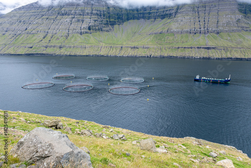 Sustainable Fishing and Salmon Farming in the Faroe Islands