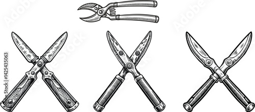 Vintage Gardening Shears and Pruners Tools Collection Black And White Monochrome Vector Image