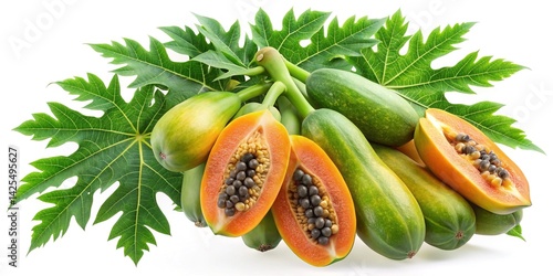 Beautiful close up image of ripe and unripe papaya fruits with leaves