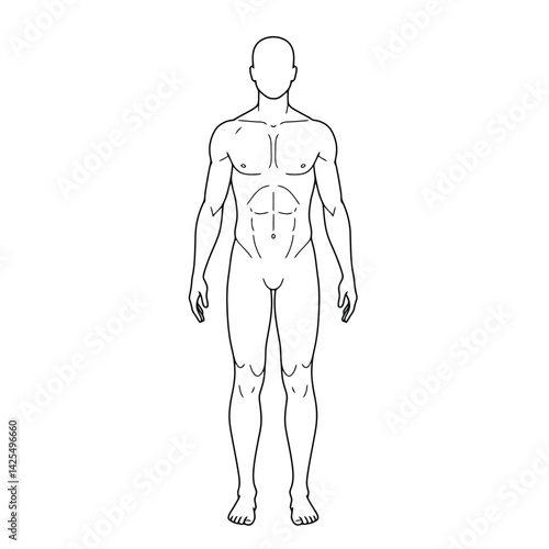 Human body internal organs circulatory nervous and skeletal systems anatomy and physiology flat educative vector illustration