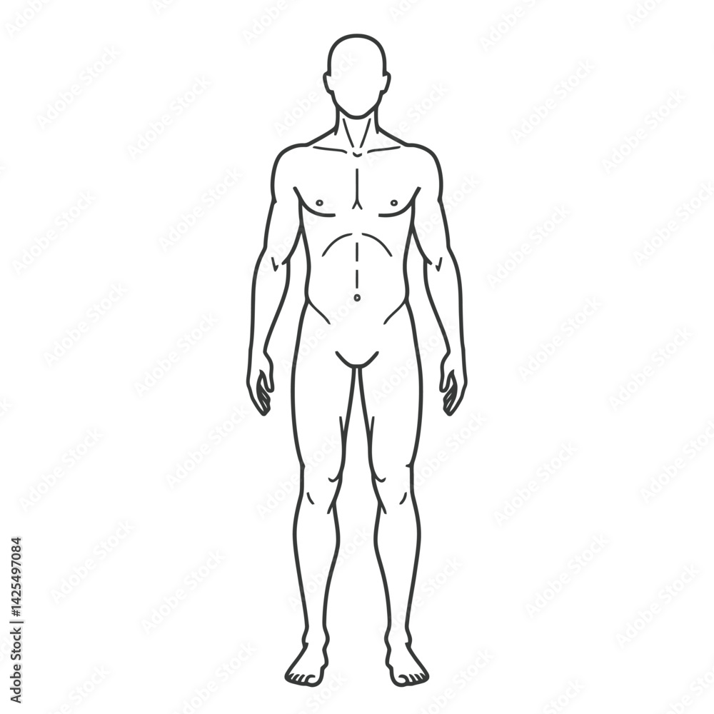 Human body internal organs circulatory nervous and skeletal systems anatomy and physiology flat educative vector illustration Human body internal organs circulatory nervous and skeletal systems anatomy and physiology flat educative vector illustration