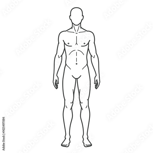 Human body internal organs circulatory nervous and skeletal systems anatomy and physiology flat educative vector illustration