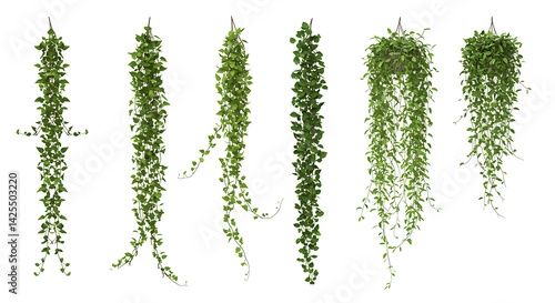 Hanging Vines and Trailing Green Plants on Transparent Background

