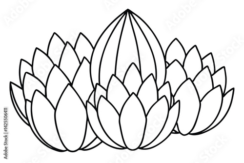 pandanus fruit line art detailed vector design artwork