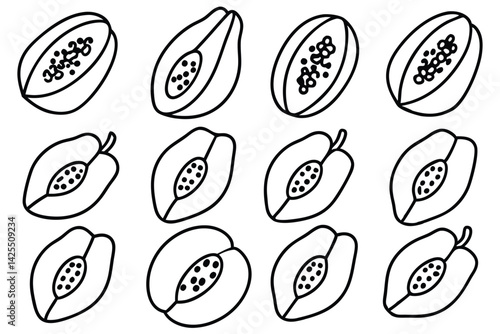 papaya line art vector image for stylish wall art