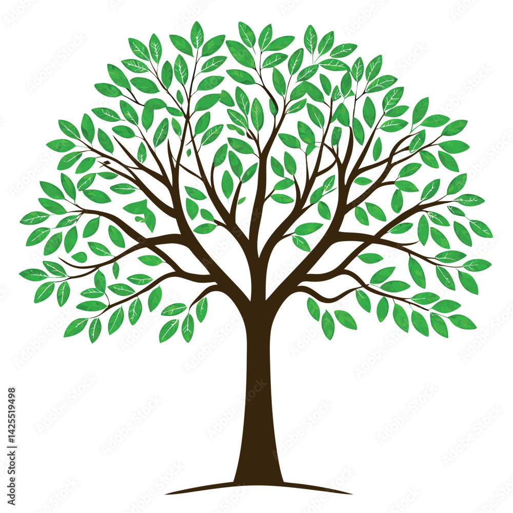 Obraz premium A tree with white background. 