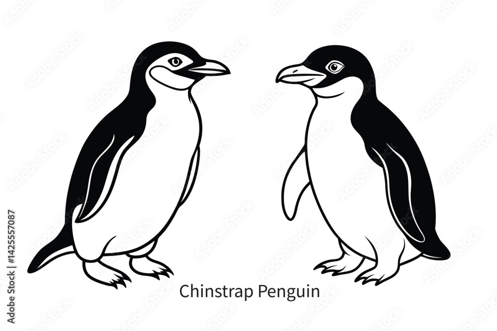 Obraz premium chinstrap penguin outline vector drawing