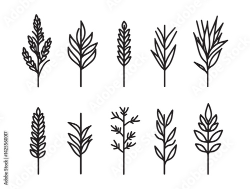 Minimalist millet grain line style vector design