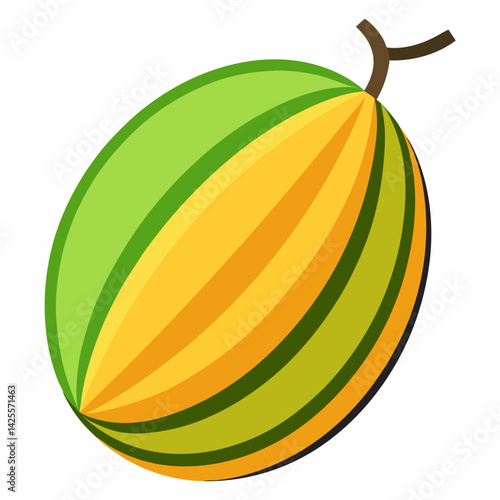 vector illustration of an orange fruit